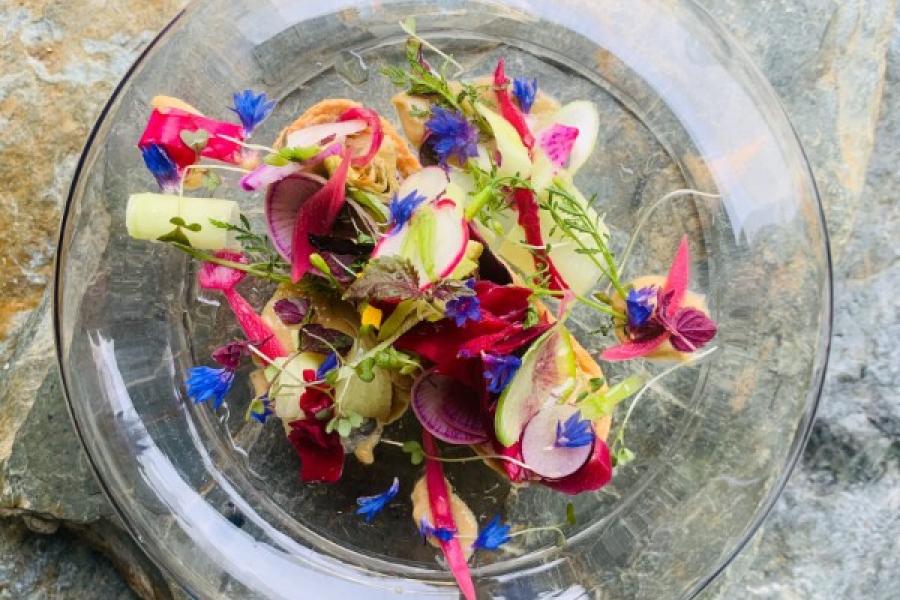 Tartelette de légumes de saison une farandole de couleurs et de saveurs